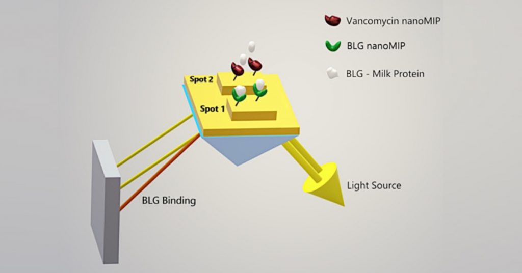 NanoMIPs-SPR-based-sensor-1