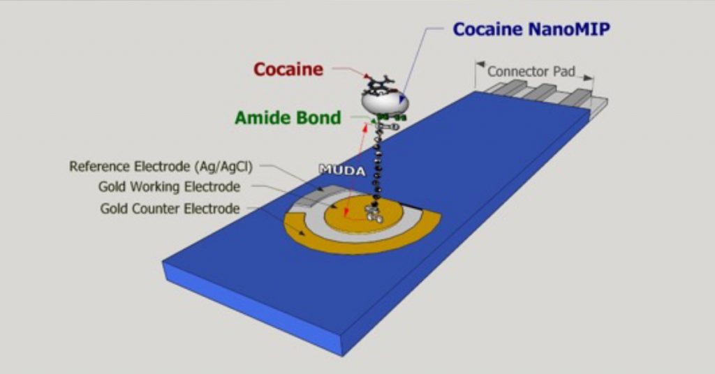 molecularly-imprinted-nanoparticles-based-sensor